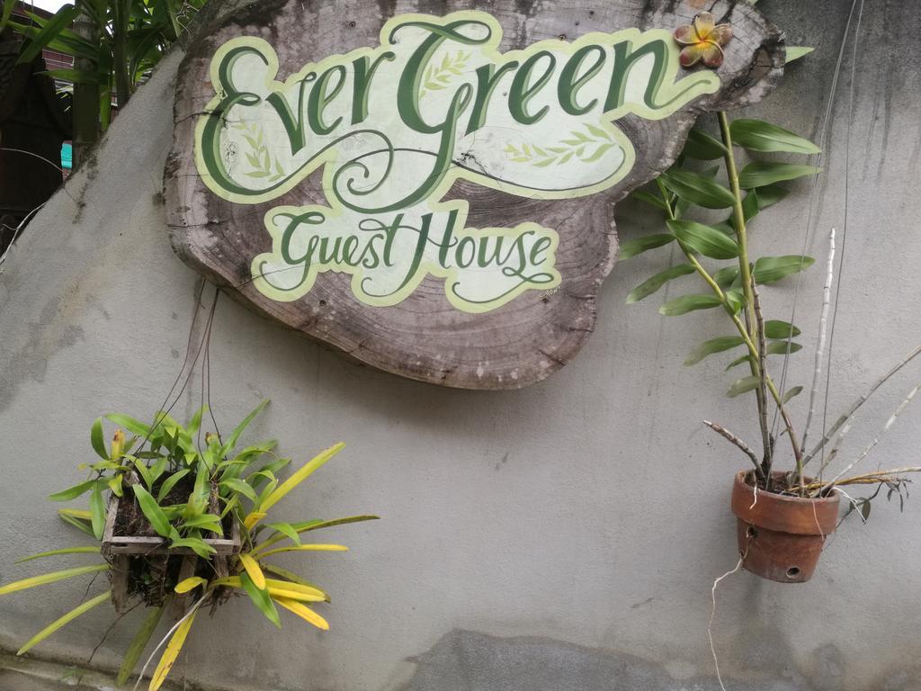 פאי Ever Green Guest House - Sha Plus מראה חיצוני תמונה
